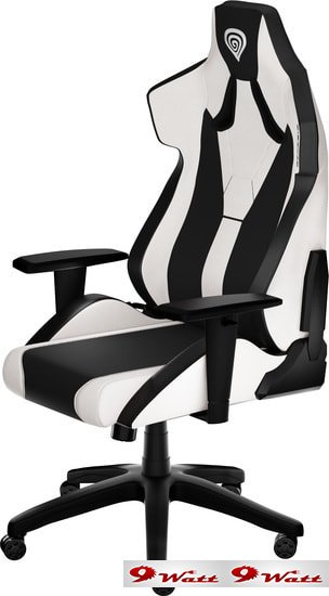 Кресло Genesis Nitro 650 (черный/белый) - фото