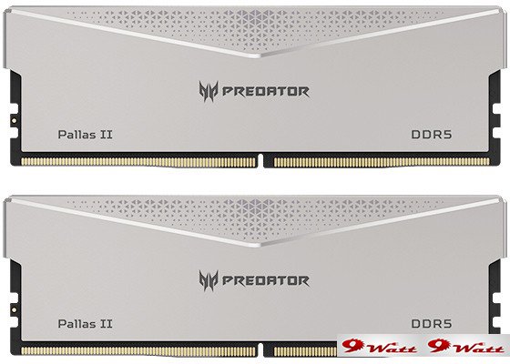 Оперативная память Acer Predator Pallas II 2x32ГБ DDR5 6000 МГц BL.9BWWR.352 - фото