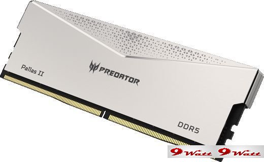 Оперативная память Acer Predator Pallas II 2x32ГБ DDR5 6000 МГц BL.9BWWR.352